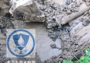 汉阳区水管漏水检测公司5